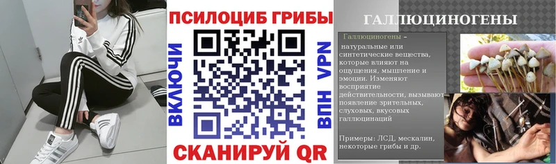 Псилоцибиновые грибы ЛСД  Купить где  Муром 